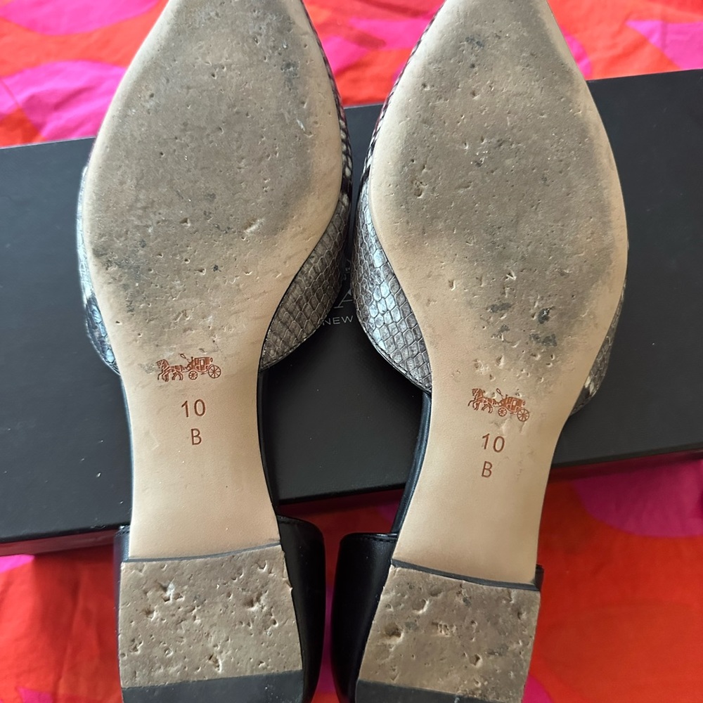 Coach Jameson lux flats python - Picture 3 of 5